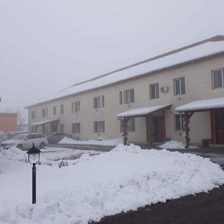 Vila Zoppas Inn Sînnicolau Mare Eksteriør billede