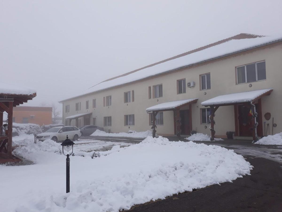 Vila Zoppas Inn Sînnicolau Mare Eksteriør billede